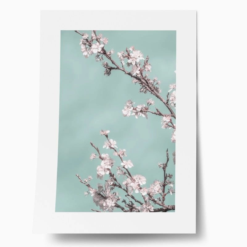Πόστερ SPRING BLOSSOM CHERRY TREE