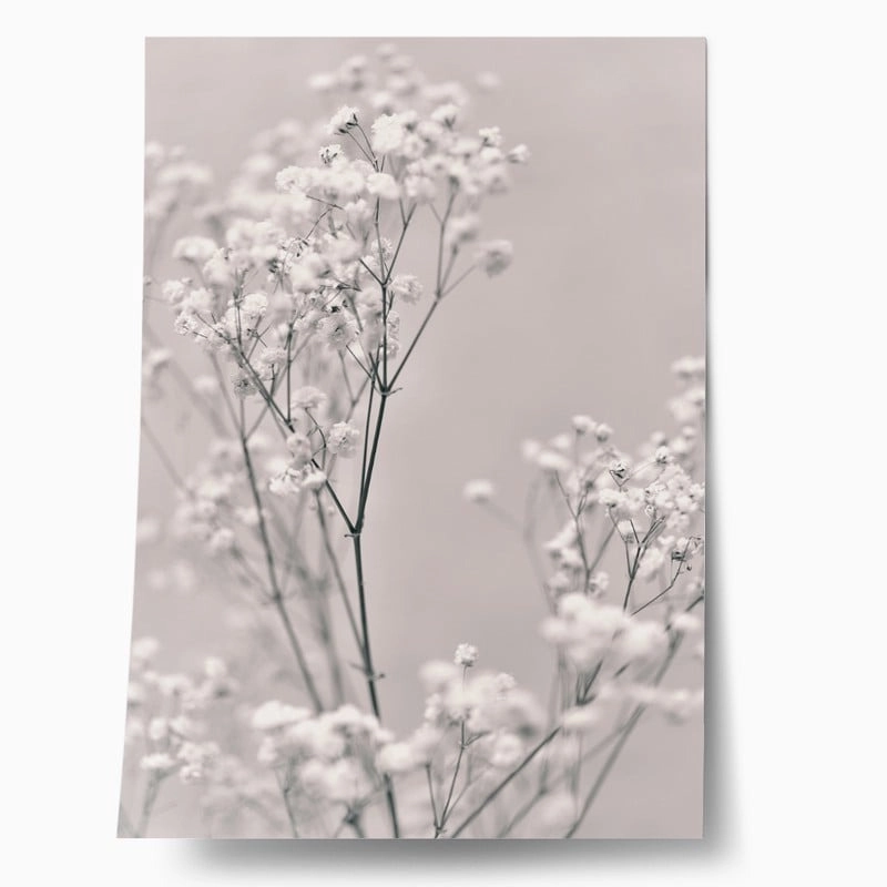 Πόστερ SPRING WHITE FLOWERS