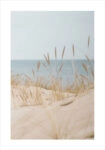 Πόστερ WHITE SAND DUNES