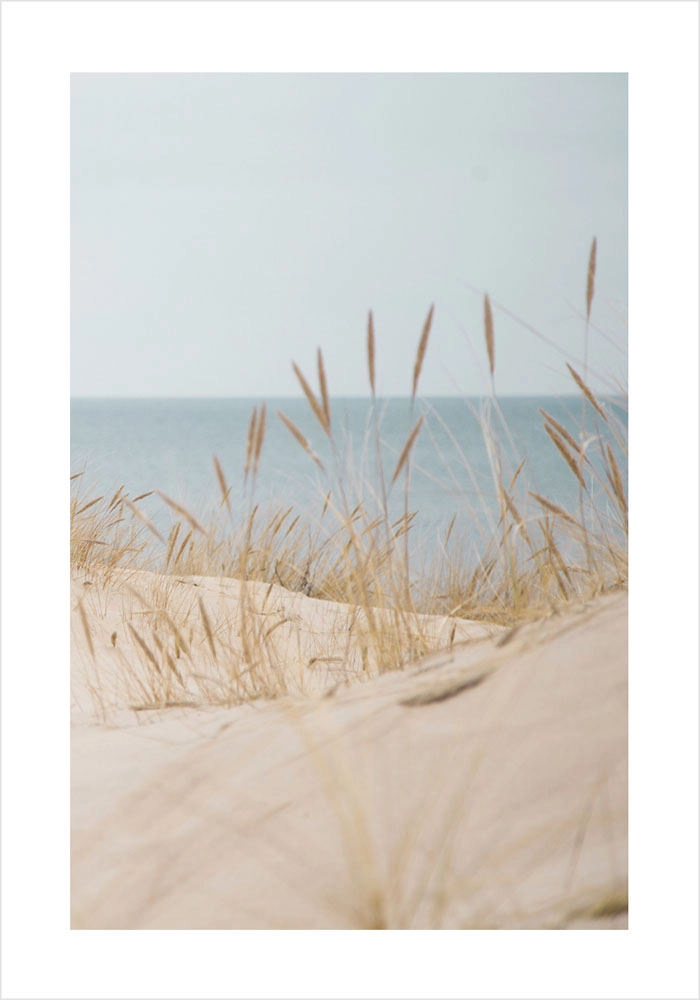 Πόστερ WHITE SAND DUNES