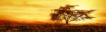 Πίνακας Πανοραμικός AFRICAN TREE