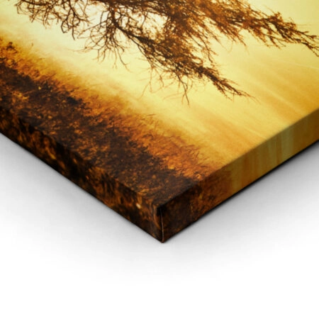Πίνακας Πανοραμικός AFRICAN TREE - Υπαιθρος Sticky 2