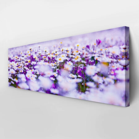 Πίνακας Πανοραμικός CHAMOMILE - Floral - Λουλουδια Sticky 3