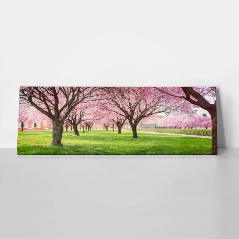 Πίνακας Πανοραμικός σε καμβά CHERRY BLOSSOM TREES ALLEY IN GARDEN