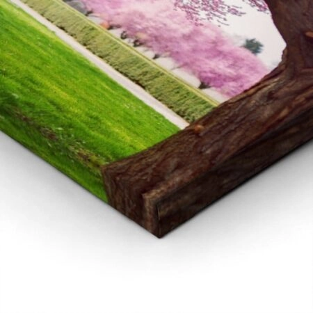 Πίνακας Πανοραμικός σε καμβά CHERRY BLOSSOM TREES ALLEY IN GARDEN - Ανθη Δεντρων Sticky 2