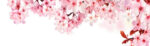 Πίνακας Πανοραμικός σε καμβά DREAMY CHERRY BLOSSOMS