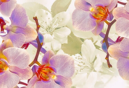 Πίνακας Πανοραμικός σε καμβά FLOWERING ORCHIDS AND CHERRIES - Ορχιδεες Sticky 5