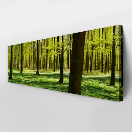 Πίνακας σε καμβά Πανοραμικός FOREST - Δασος Sticky 3