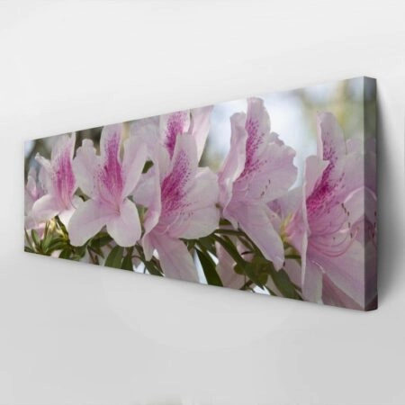 Πίνακας Πανοραμικός σε καμβά GROUP OF PINK AZALEAS - Floral - Λουλουδια Sticky 3