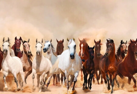 Πίνακας σε καμβά Πανοραμικός HORSES - Αλογα Sticky 5