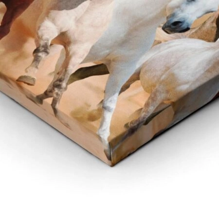 Πίνακας σε καμβά Πανοραμικός HORSES - Αλογα Sticky 2