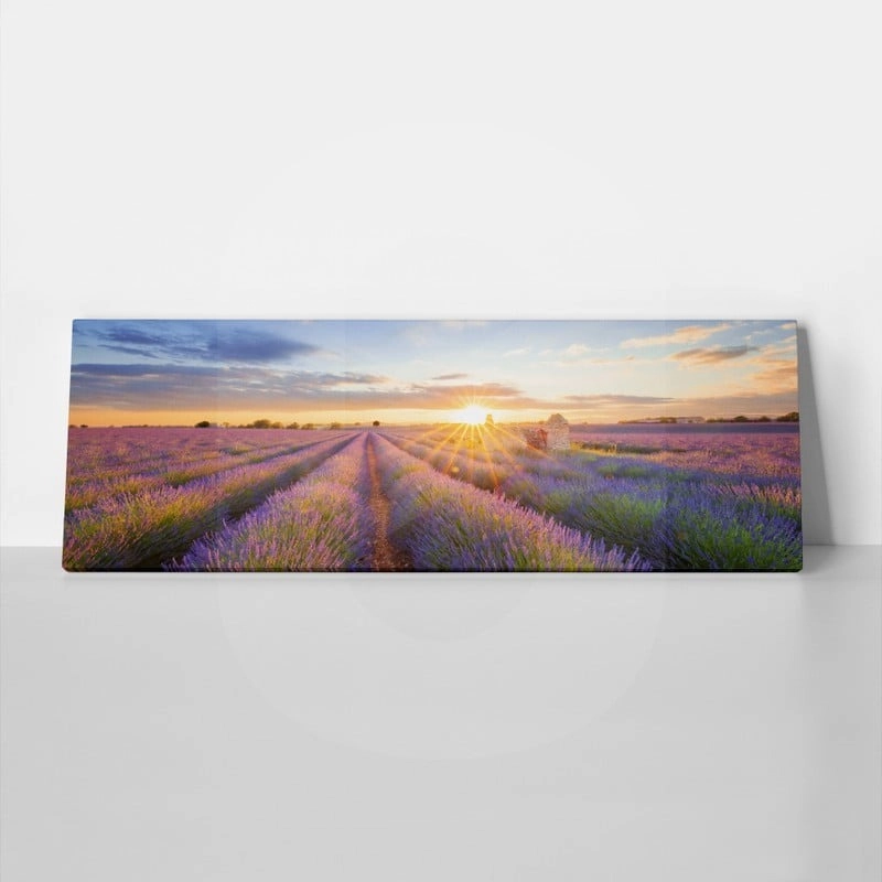 Πίνακας Πανοραμικός σε καμβά LAVENDER FIELD IN VALENSOLE