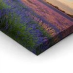 Πίνακας Πανοραμικός σε καμβά LAVENDER FIELD IN VALENSOLE
