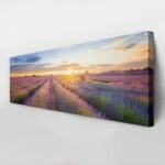 Πίνακας Πανοραμικός σε καμβά LAVENDER FIELD IN VALENSOLE