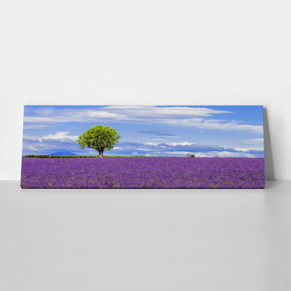 Πίνακας Πανοραμικός LAVENDER FIELD