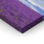 Πίνακας Πανοραμικός LAVENDER FIELD