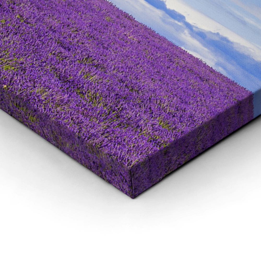 Πίνακας Πανοραμικός LAVENDER FIELD