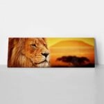 Πίνακας Πανοραμικός LION