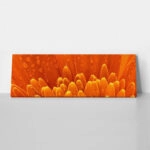 Πίνακας Πανοραμικός ORANGE DAISY