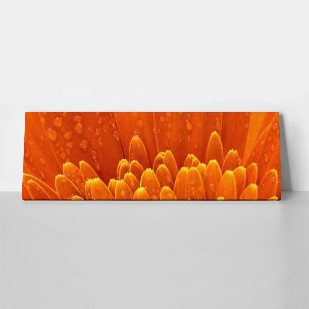 Πίνακας Πανοραμικός ORANGE DAISY