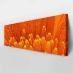 Πίνακας Πανοραμικός ORANGE DAISY