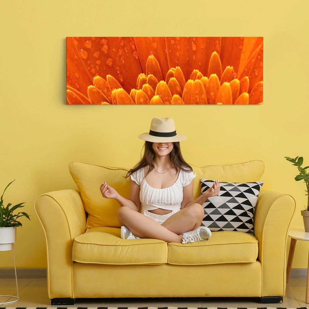 Πίνακας Πανοραμικός ORANGE DAISY