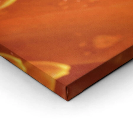 Πίνακας Πανοραμικός ORANGE DAISY - Μαργαριτες Sticky 2