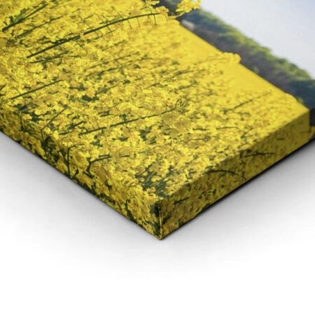 Πίνακας Πανοραμικός σε καμβά RAPESEED FLOWERS IN SPRINGTIME - Υπαιθρος Sticky 2