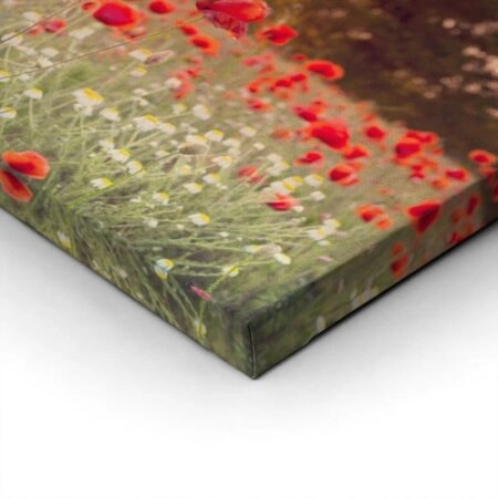 Πίνακας Πανοραμικός σε καμβά RED POPPY FIELD - Παπαρουνες Sticky 2