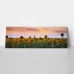 Πίνακας Πανοραμικός SUNFLOWERS SUNSET