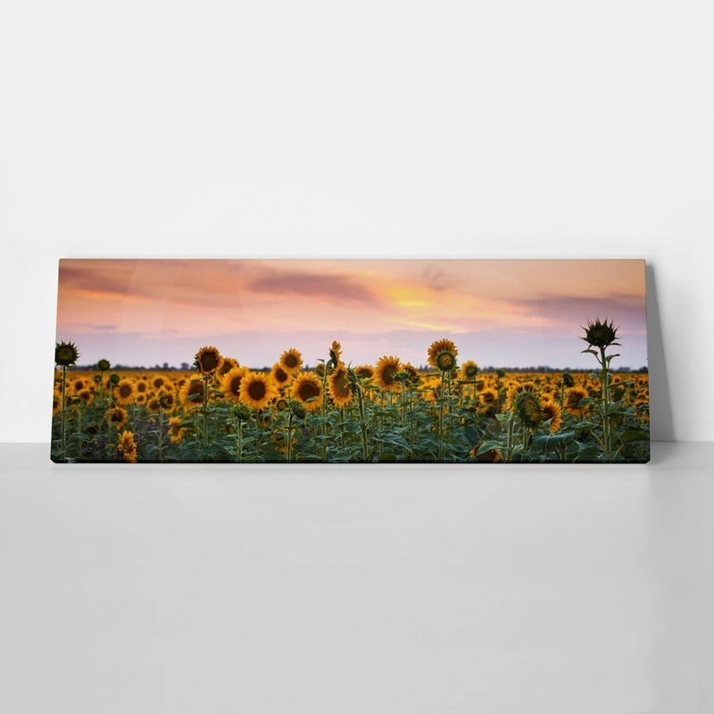 Πίνακας Πανοραμικός SUNFLOWERS SUNSET