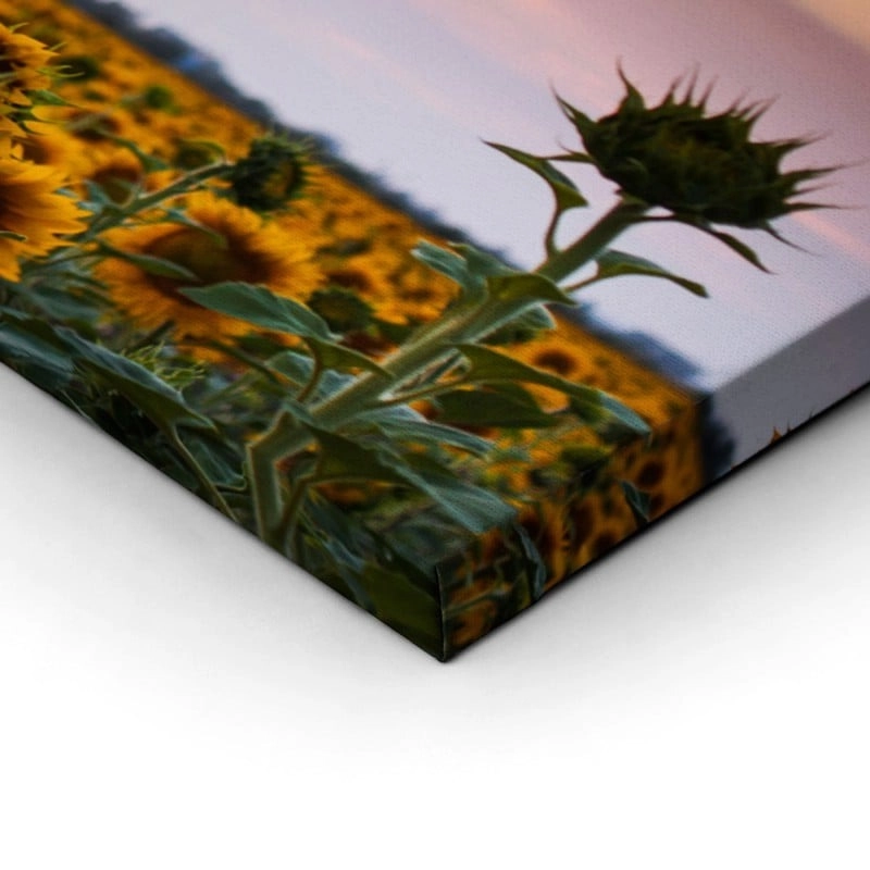 Πίνακας Πανοραμικός SUNFLOWERS SUNSET
