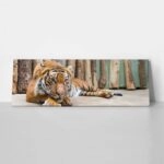 Πίνακας Πανοραμικός TIGER