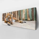 Πίνακας Πανοραμικός TIGER