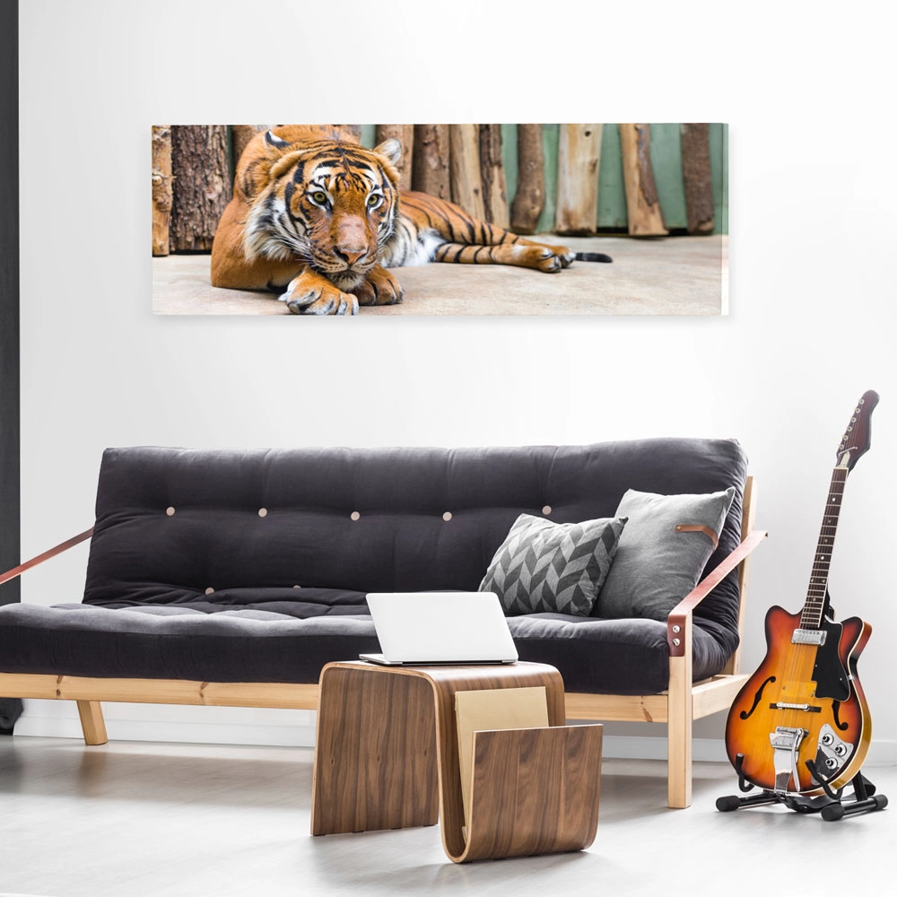 Πίνακας Πανοραμικός TIGER