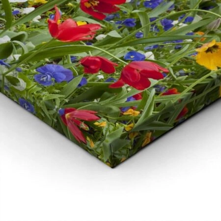 Πίνακας Πανοραμικός σε καμβά TULIP FIESTA - Τουλιπες Sticky 3