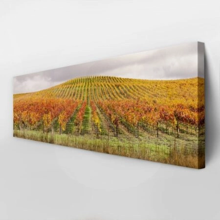 Πίνακας Πανοραμικός σε καμβά VINEYARD IN AUTUMN - Υπαιθρος Sticky 3