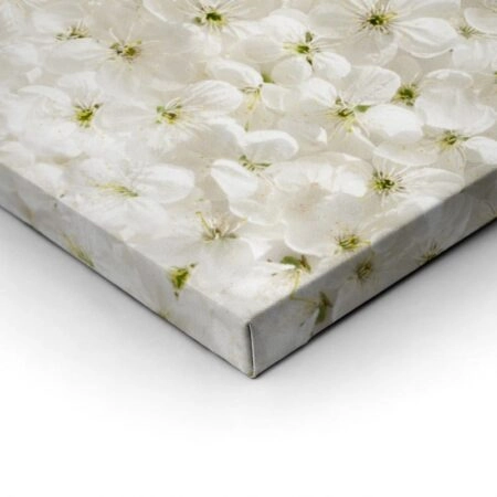 Πίνακας Πανοραμικός σε καμβά WHITE CHERRY FLOWERS - Ανθη Δεντρων Sticky 2