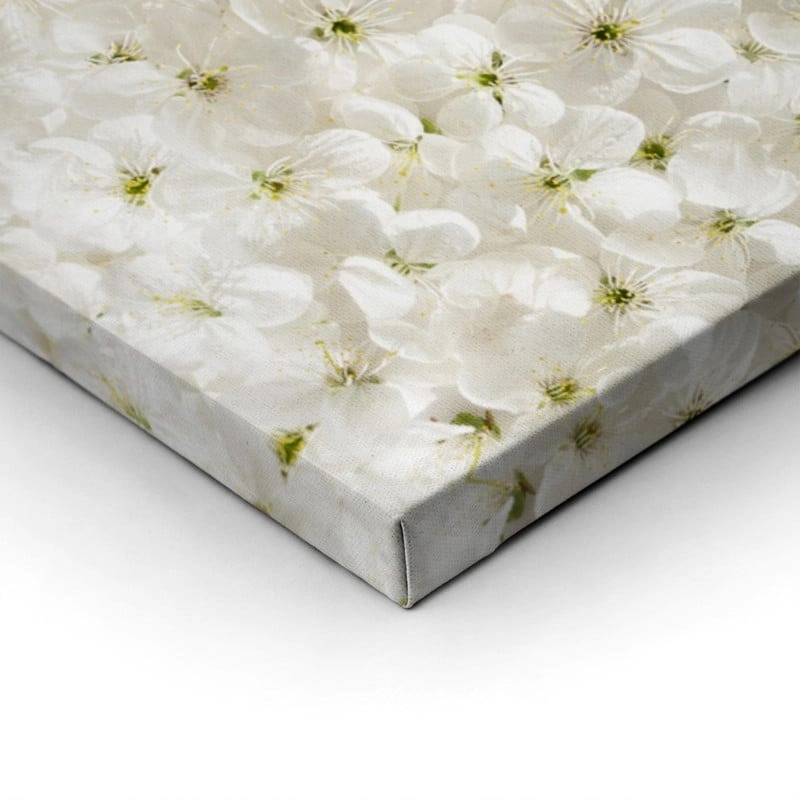 Πίνακας Πανοραμικός σε καμβά WHITE CHERRY FLOWERS