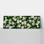 Πίνακας Πανοραμικός WHITE FLOWERS