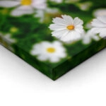 Πίνακας Πανοραμικός WHITE FLOWERS