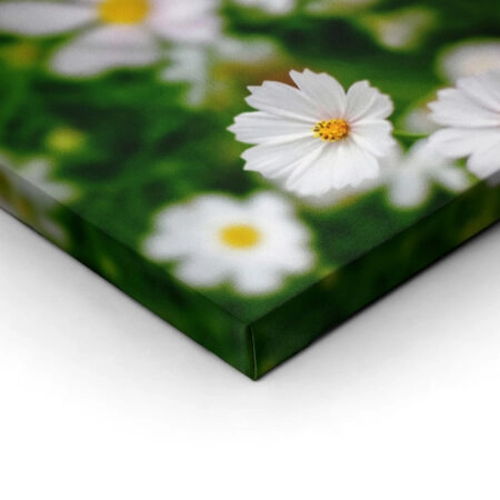Πίνακας Πανοραμικός WHITE FLOWERS - Μαργαριτες Sticky 2