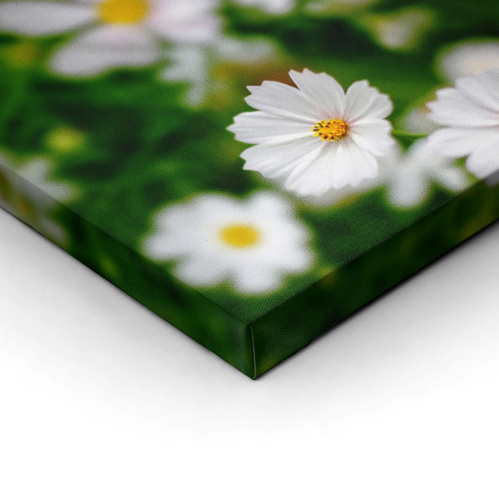 Πίνακας Πανοραμικός WHITE FLOWERS