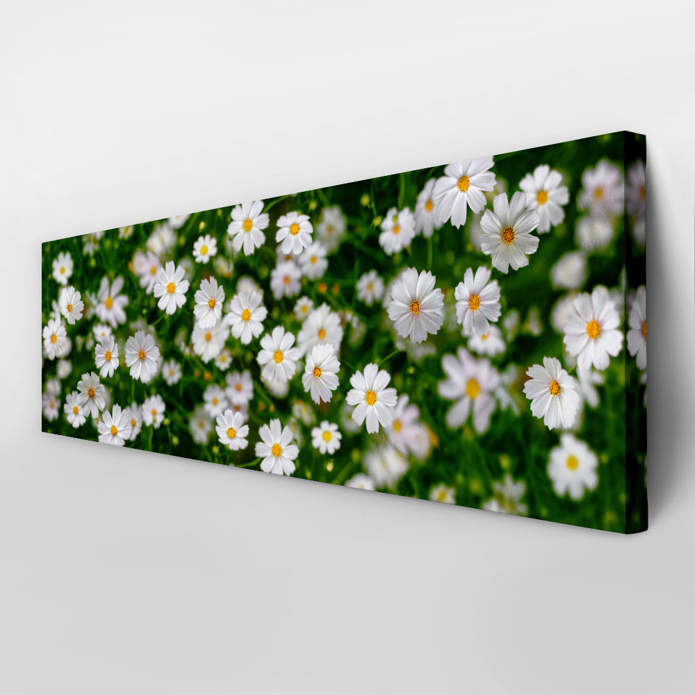 Πίνακας Πανοραμικός WHITE FLOWERS