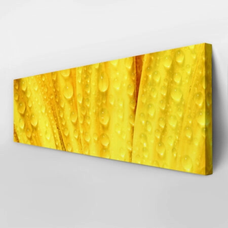 Πίνακας Πανοραμικός YELLOW DAISY - Μαργαριτες Sticky 3