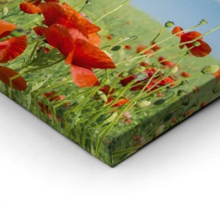 Πίνακας Πανοραμικός σε καμβά POPPIES AND CLOUDS - Παπαρουνες Sticky 2