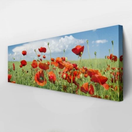 Πίνακας Πανοραμικός σε καμβά POPPIES AND CLOUDS - Παπαρουνες Sticky 3