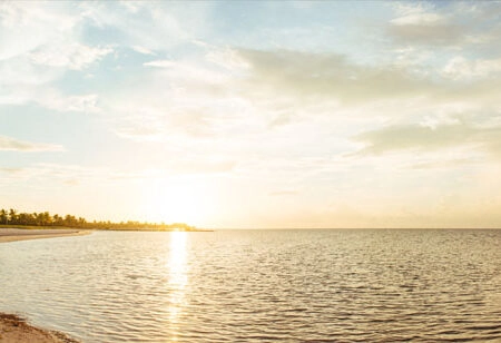 Πίνακας Πανοραμικός σε καμβά SUNRISE FLORIDA - Παραλιες Sticky 5