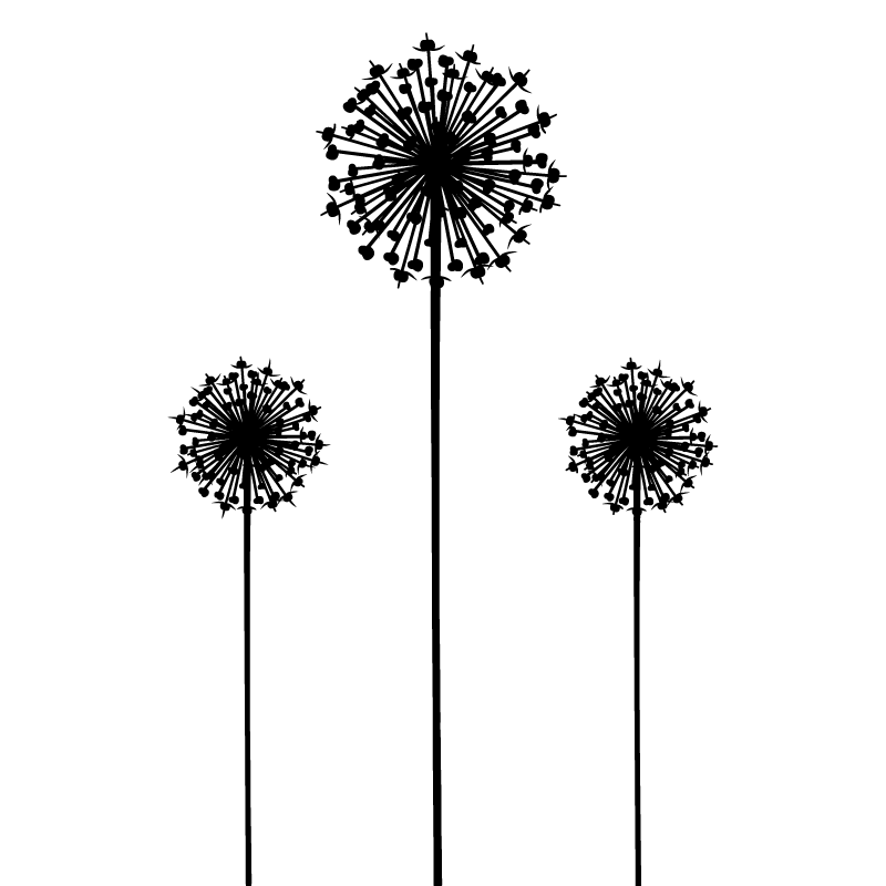 crop image