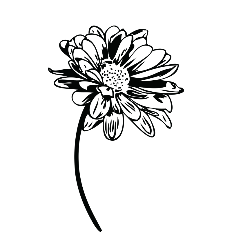 crop image